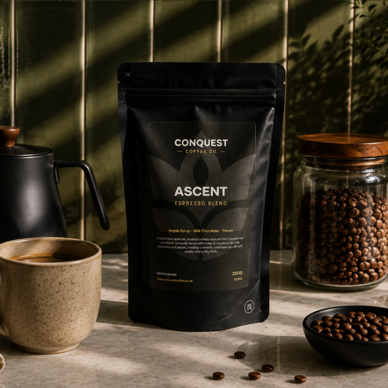 Ascent Espresso